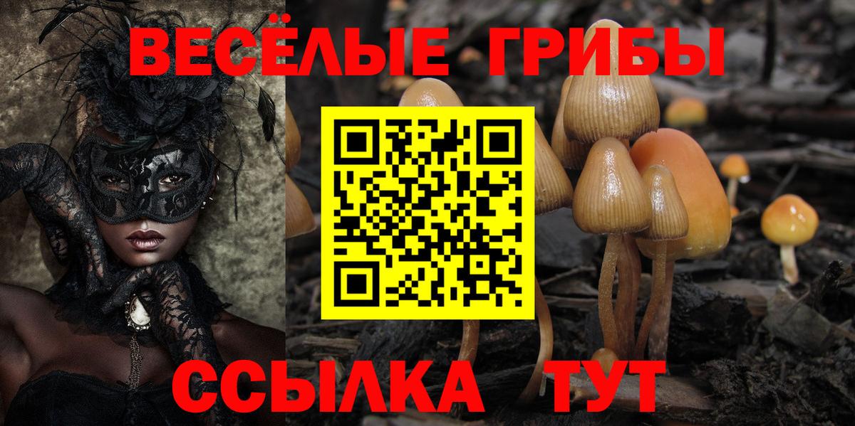 где купить наркоту  Вход с VPN  Якутск  Псилоцибиновые грибы Psilocybine cubensis 