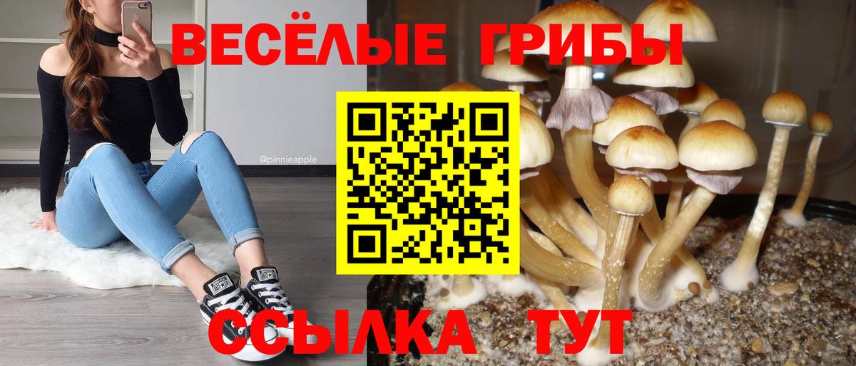 Галлюциногенные грибы GOLDEN TEACHER Якутск
